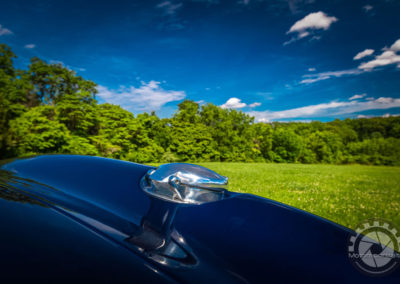 Motorsportraits Portrait photography of cars 1965 Shelby Cobra 427 S/C